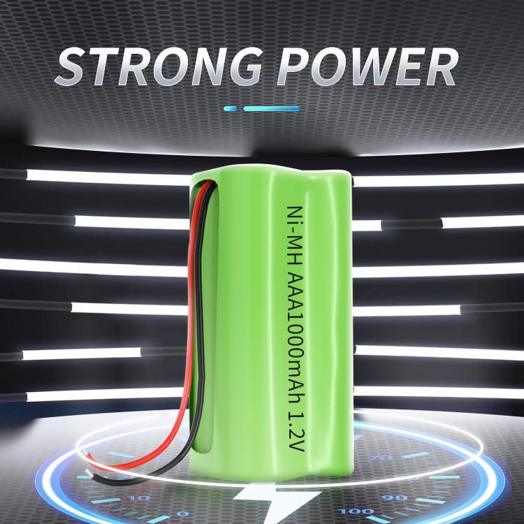 Ni-MH AAA1000mAh 1.2V