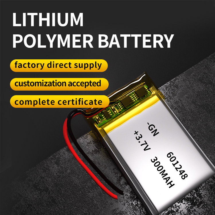 602248 polymer battery company